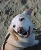 Joe at the beach