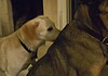 Joe and Sammy