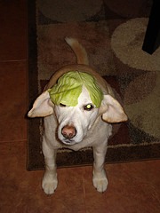 Jolly Green Munchkin