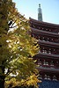 Sight Seeing in Tokyo